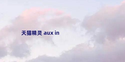 天猫精灵 aux in
